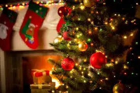 Common Scams During The Holidays