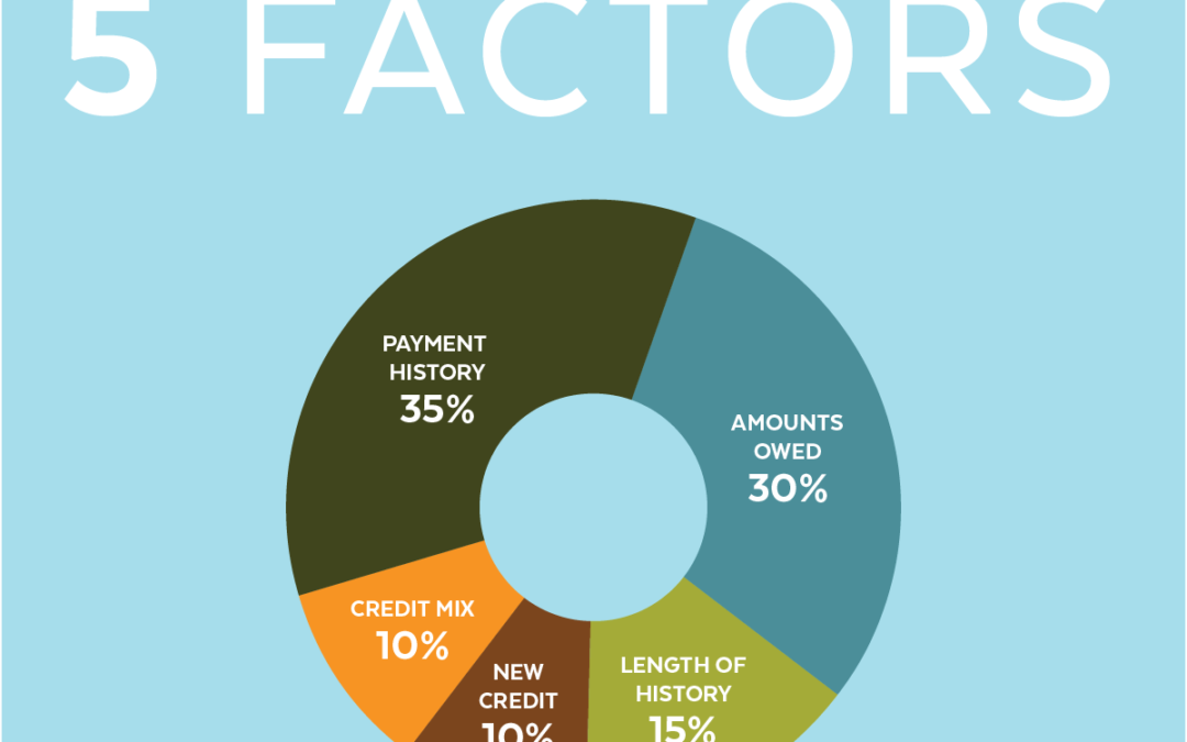 Understanding Credit Score Factors. Read Our Blog to Get Informed!