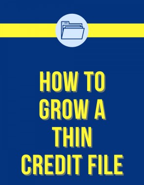 How Can You Strengthen up Your Thin Credit File? Read our blog to get informed!