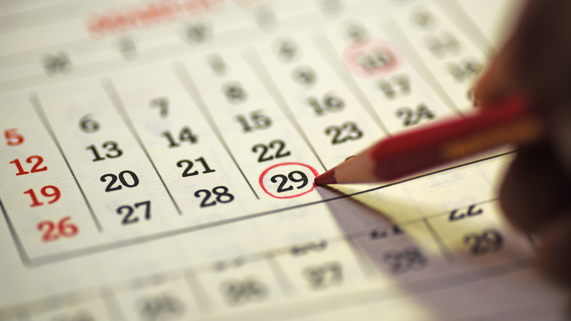 Free annual credit report - Credit Services of America